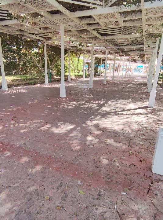 Gartenanlage Desert Rose