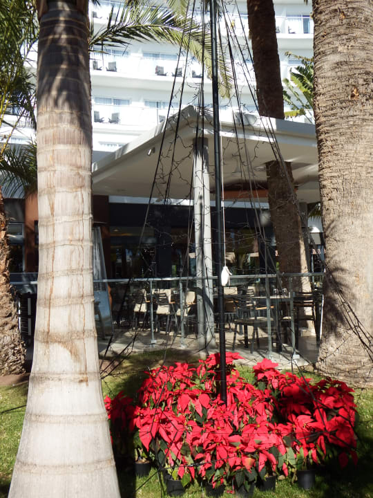 Gastro Hotel Riu Palace Palmeras
