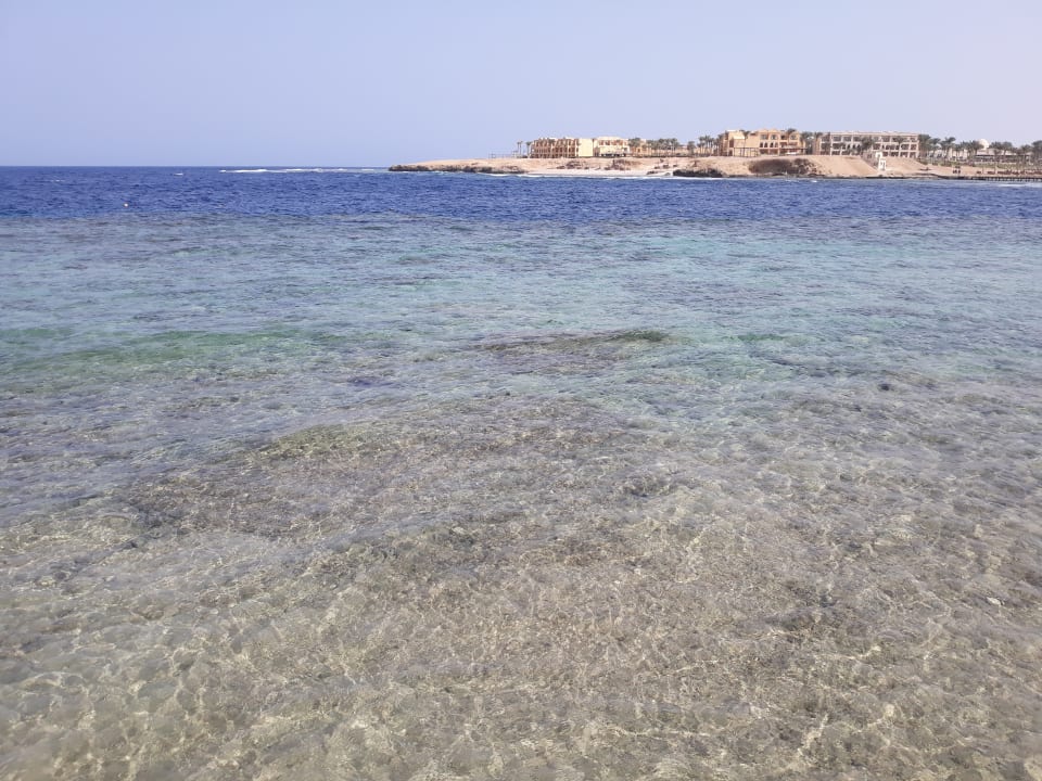 Ausblick Steigenberger Coraya Beach - Adults only