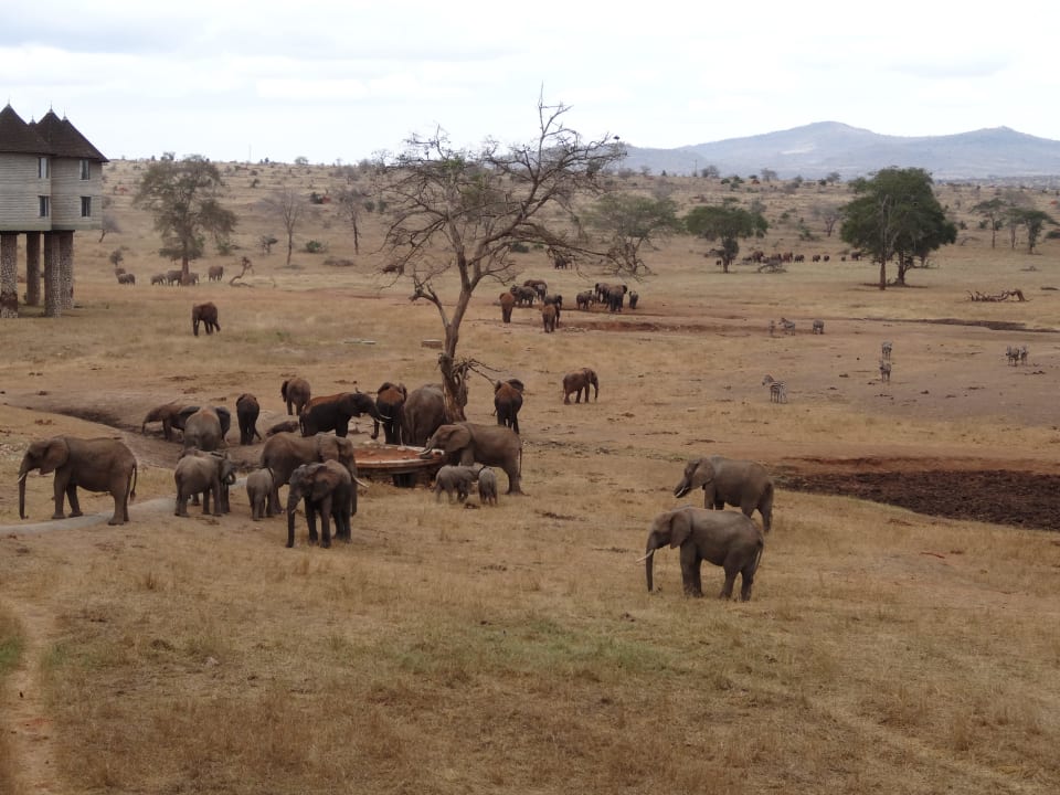 Ausblick aus unserem Zimmer Salt Lick Safari Lodge