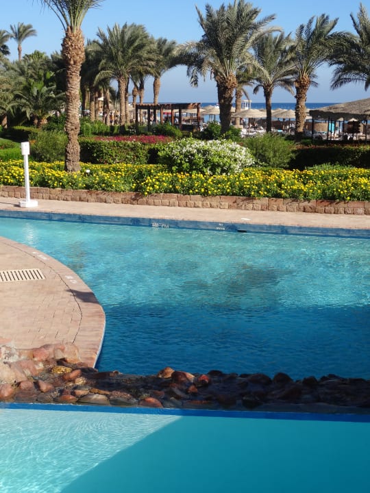 Gartenanlage Fort Arabesque Resort, Spa & Villas