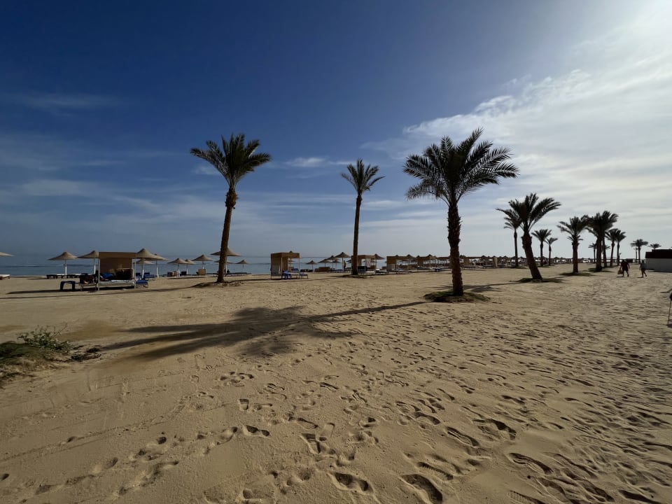 Strand Pickalbatros Sea World Resort - Marsa Alam