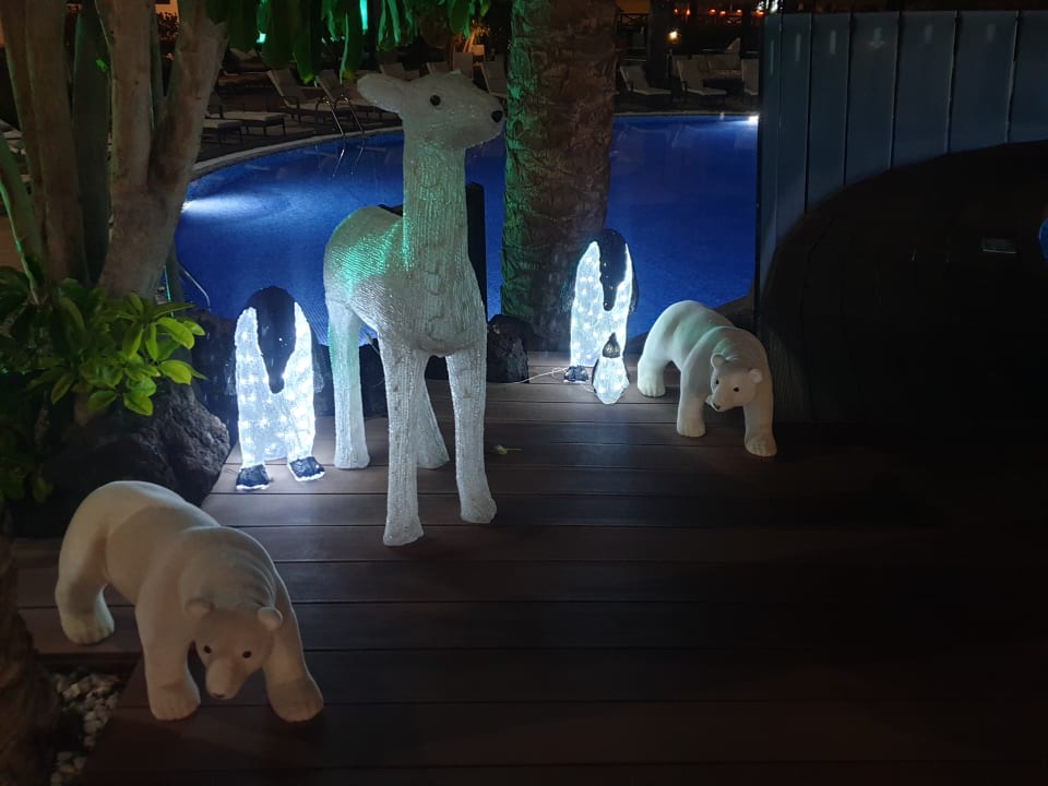 Sonstiges Occidental Jandía Royal Level - Adults only