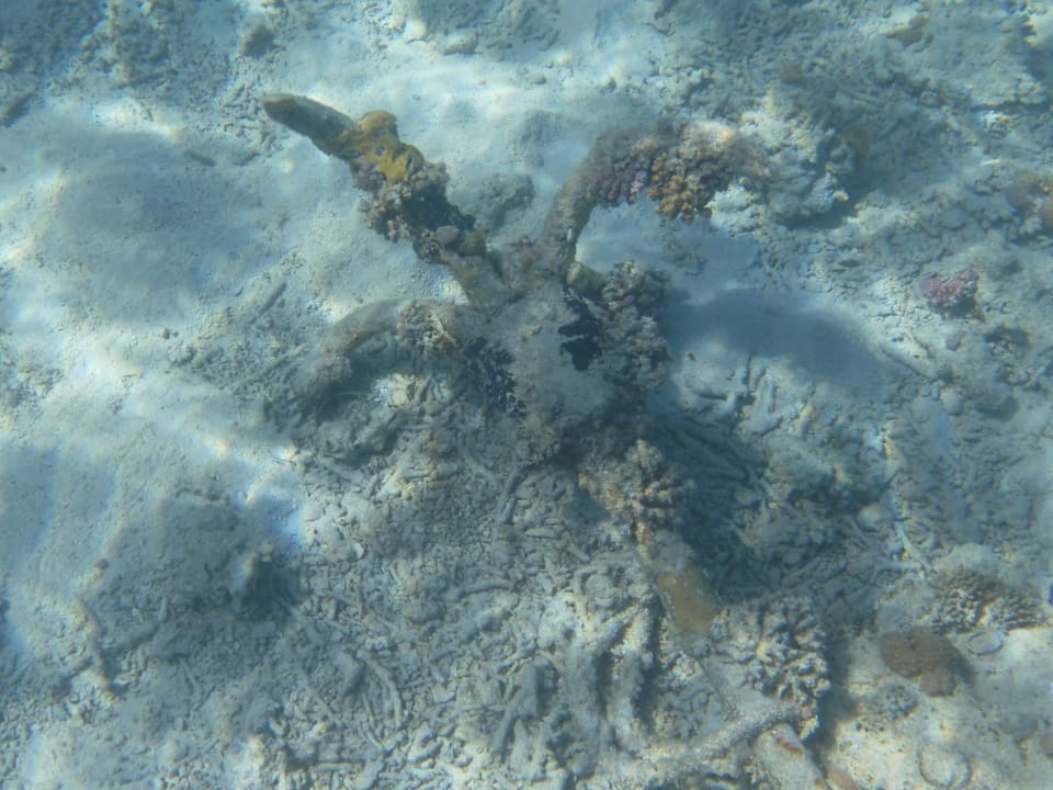 Strand Regina Resort and Aqua Park Hurghada