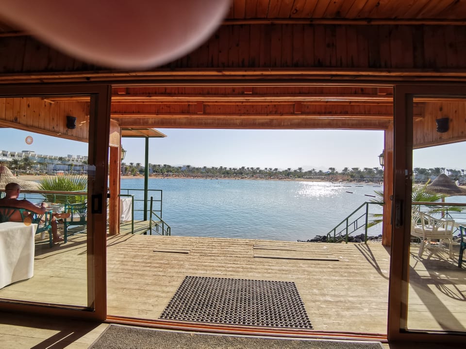 Ausblick Desert Rose