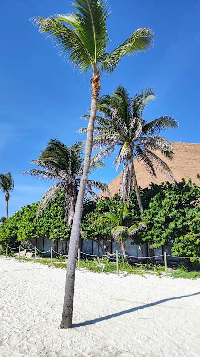 Gartenanlage Bahia Principe Grand Tulum