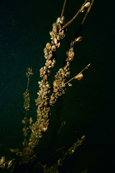 Sport & Freizeit See- und Waldresort Gröbern