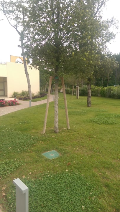 Garten Laguna Park Hotel