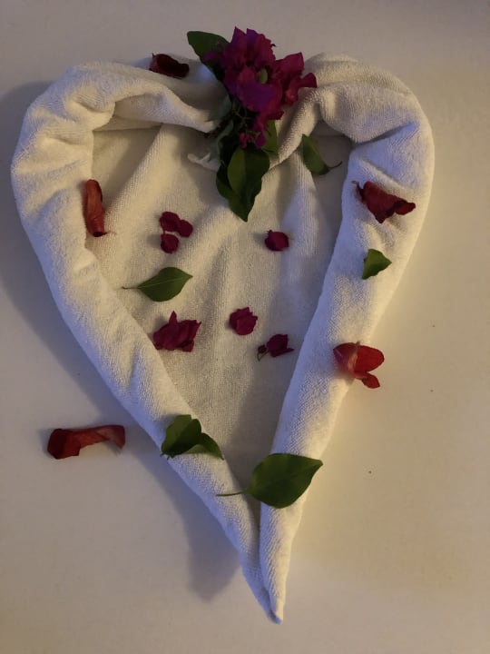 Zimmer Hotel Gardenia Beach