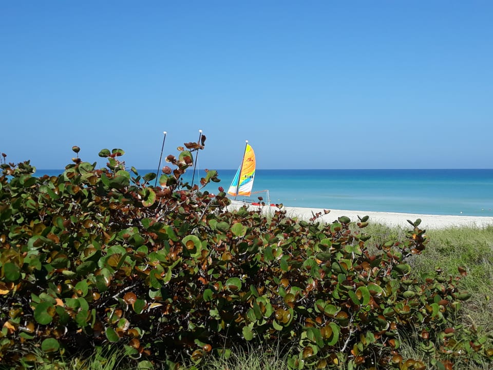 Strand Iberostar Origin Taínos