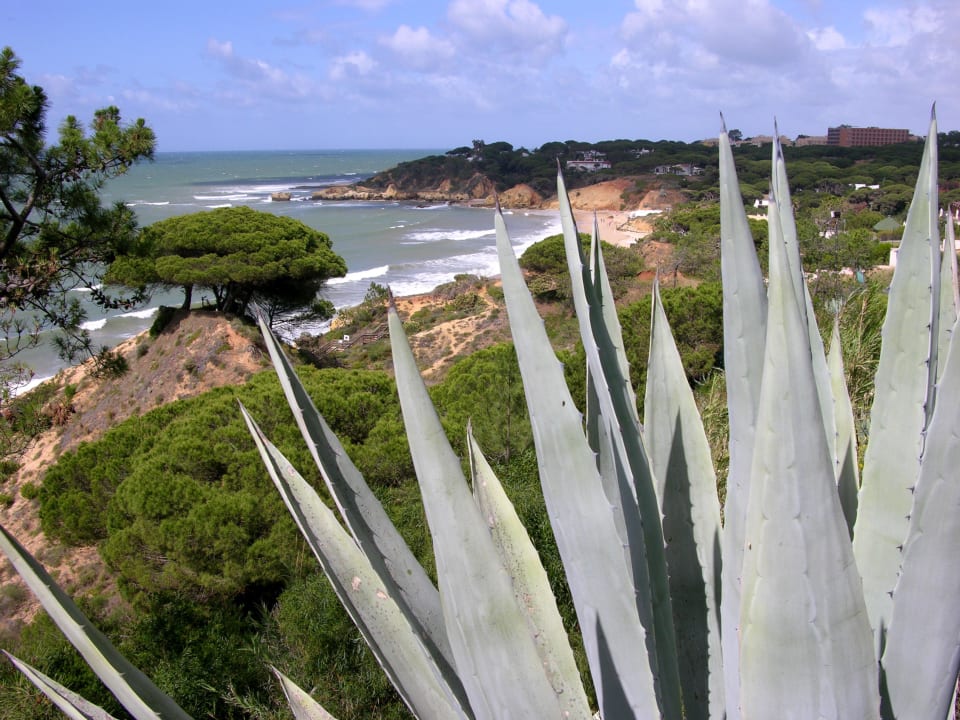 Blick vom Hotel Alfagar. Grande Real Santa Eulalia Resort & Hotel Spa