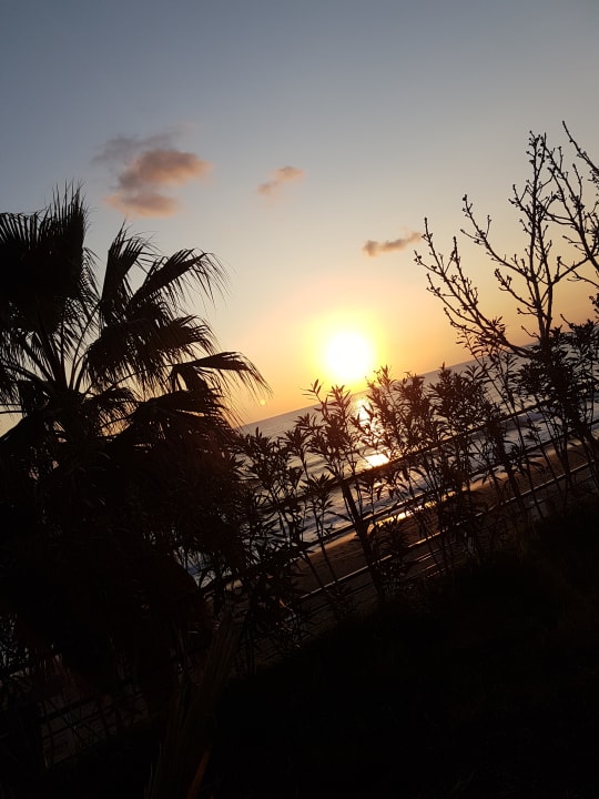 Ausblick Aska Hotel Just in Beach