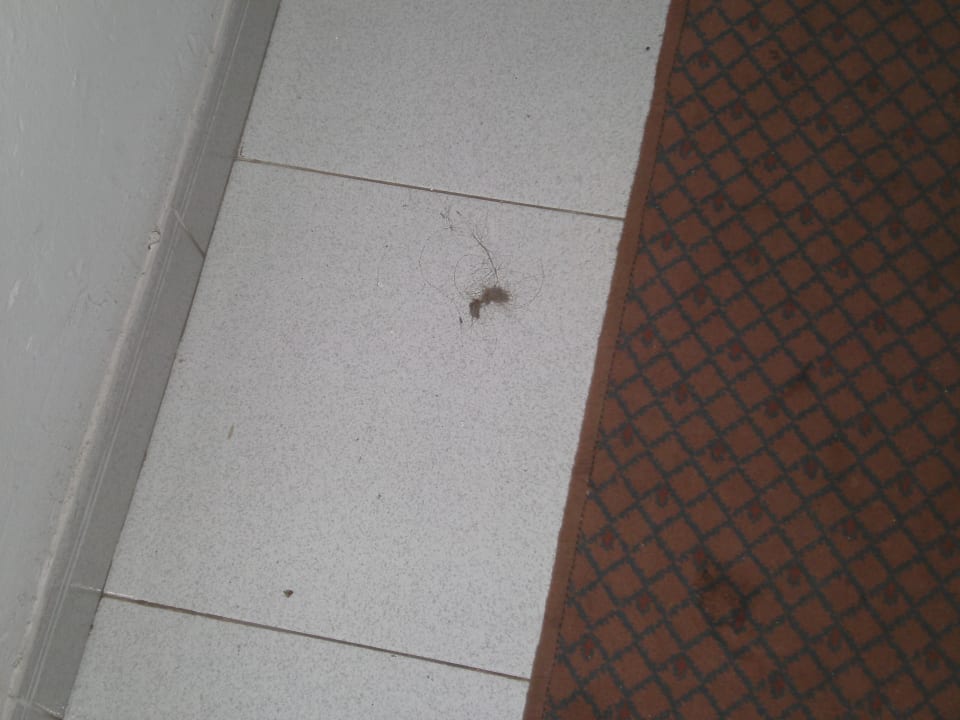 Schmutz im Flur Gavimar Ariel Chico Club & Resort
