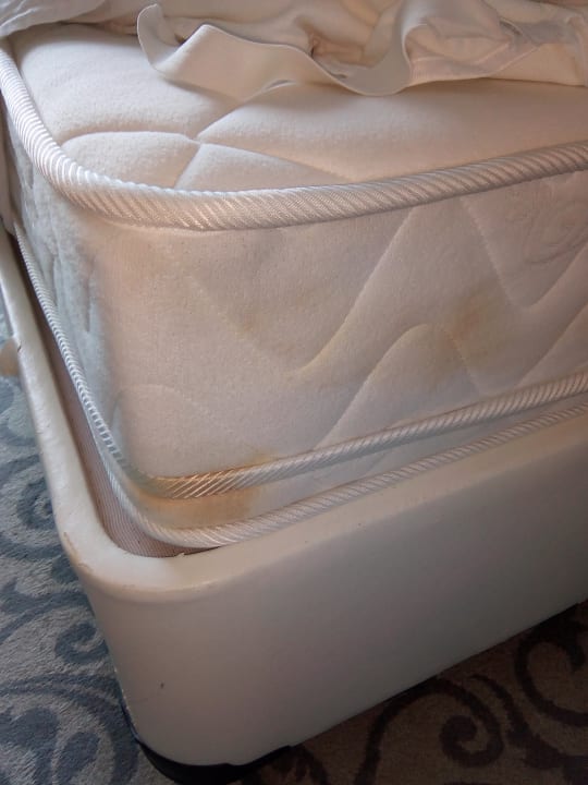 Zimmer Q Premium Resort