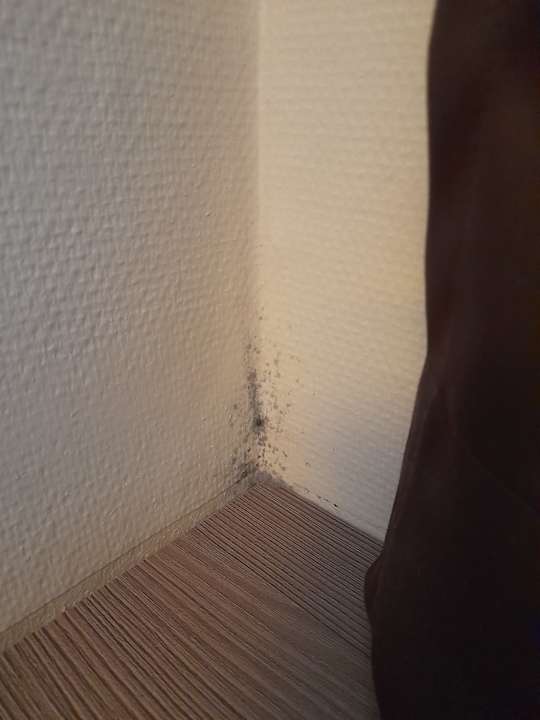 Zimmer Hotel Norddeutscher Hof