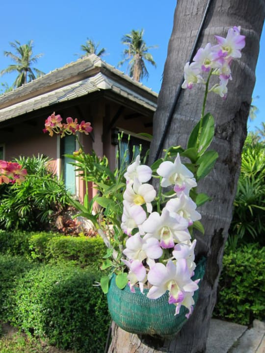 Orchideen Fair House Villas & Spa