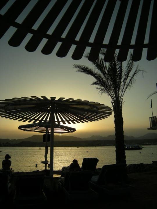 Sonnenuntergang am Strand Albatros Sharm Resort