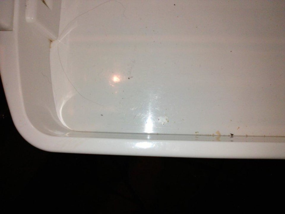 Sauberkeit in der Küche Bunte Villa