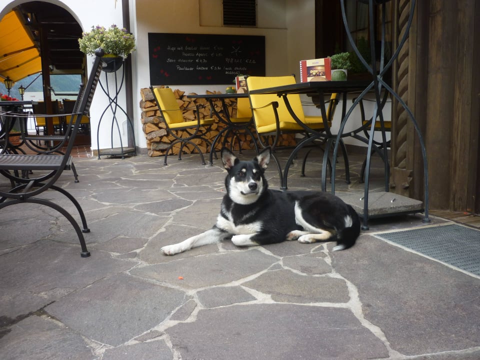 Maja fühlt sich wohl Hotel Johanna mitten im Ötztal