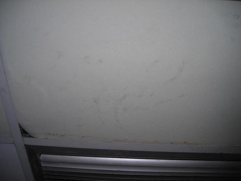 Decke Ghazala Gardens