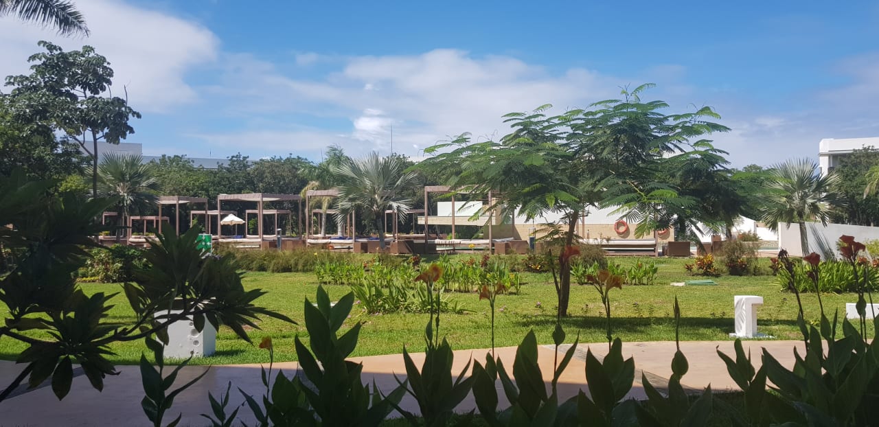 Gartenanlage Playa Vista Azul