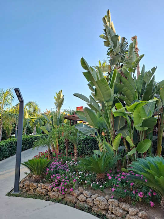Gartenanlage Arnor de Luxe Hotel & Spa