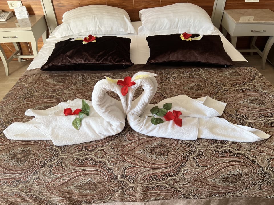 Zimmer Well Palace Side