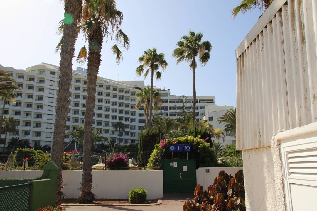 Hôtel H10 Las Palmeras - La Vue 2015 H10 Las Palmeras