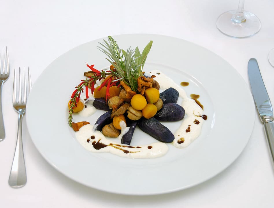 Gastro Hotel Schloss Wartegg