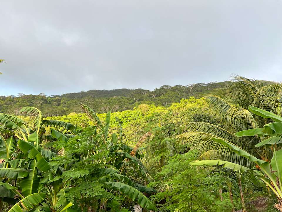 Außenansicht La Bel Zilwaz Guesthouse