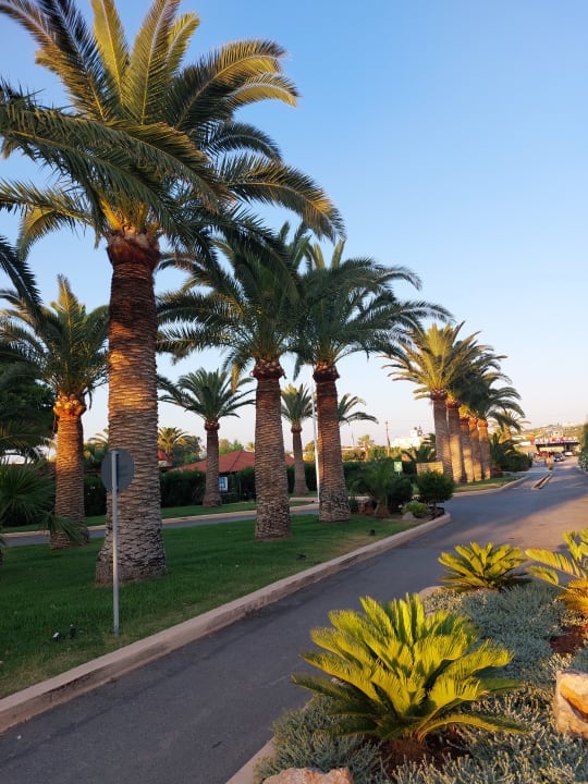Gartenanlage Anissa Beach & Village
