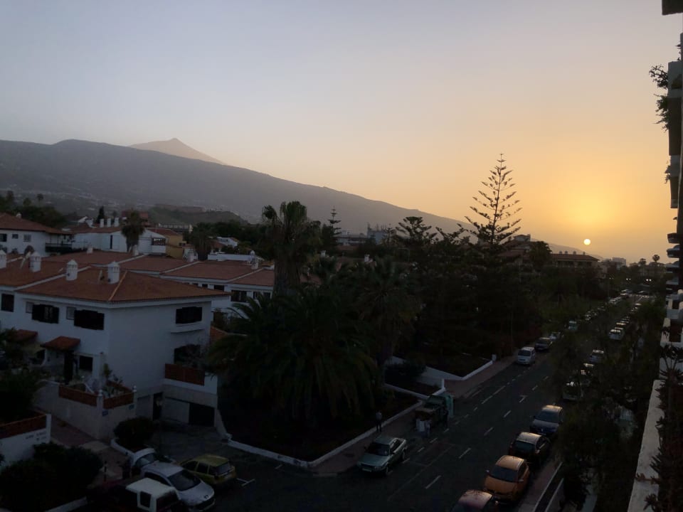 Ausblick BLUESEA Complejo Puerto Resort (Canarife y Bonanza Palace))