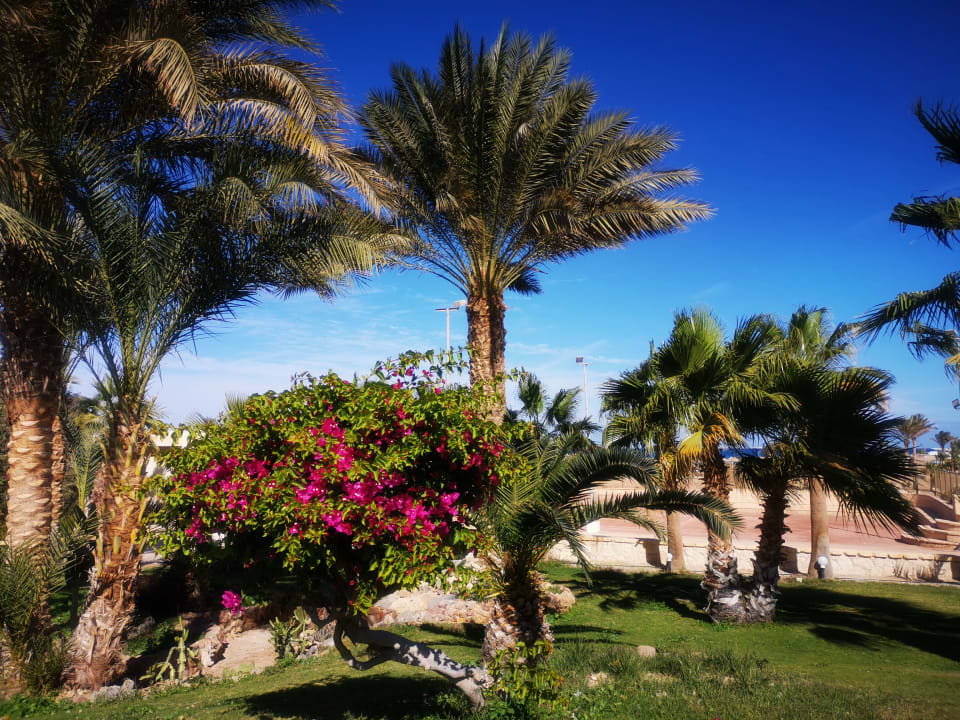 Gartenanlage Coral Beach Hurghada