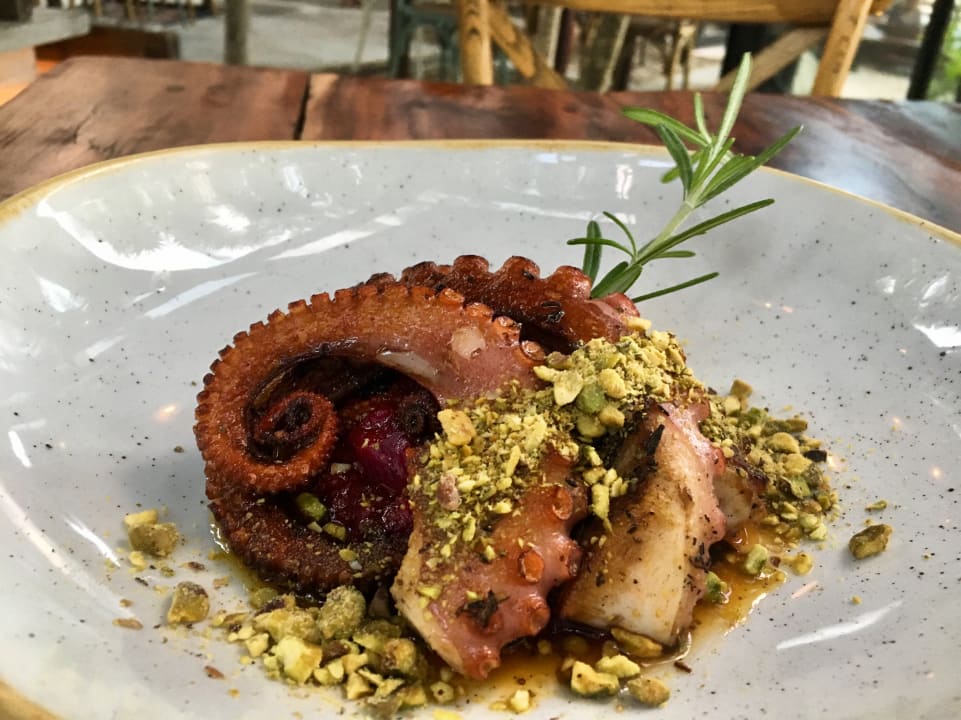 Gastro Habitas Tulum