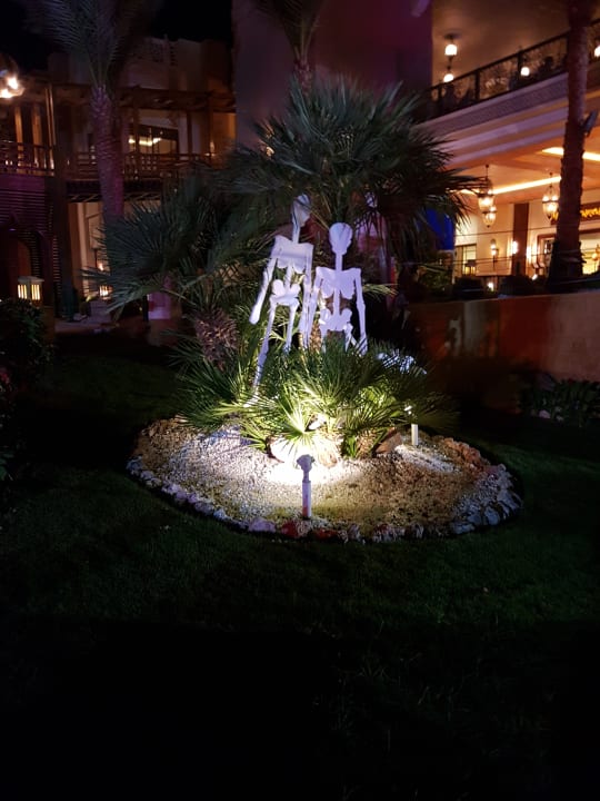 Halloween  Pickalbatros Palace Resort