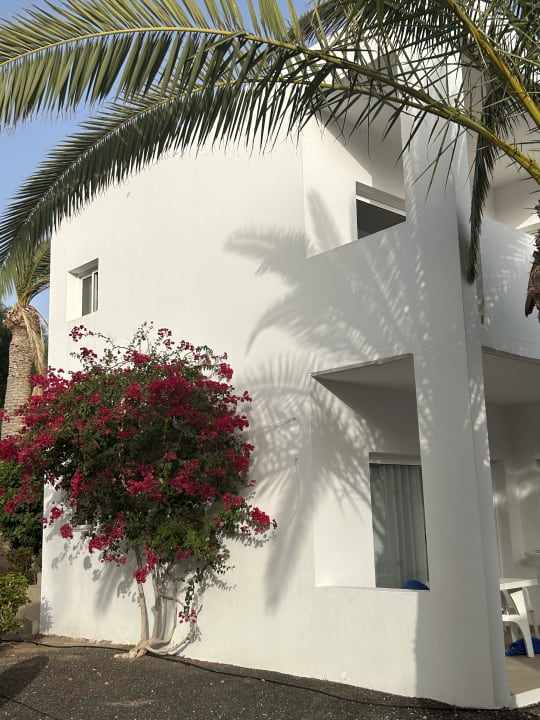 Gartenanlage allsun App.-Hotel Esquinzo Beach