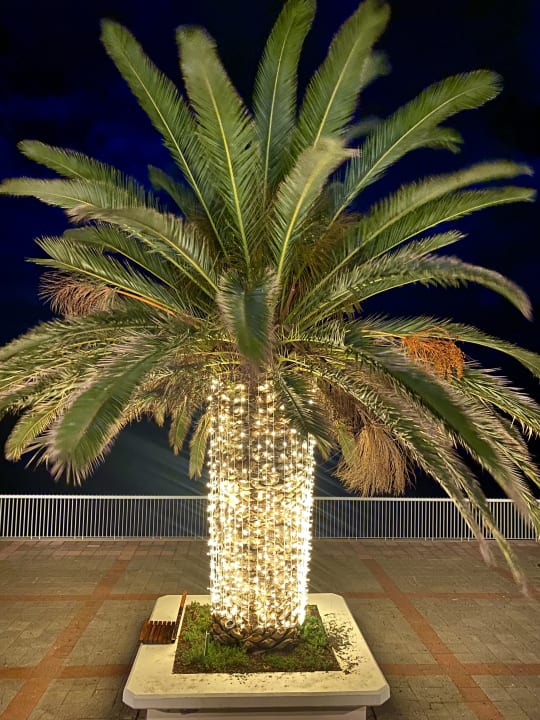 Außenansicht Hotel Riu Madeira