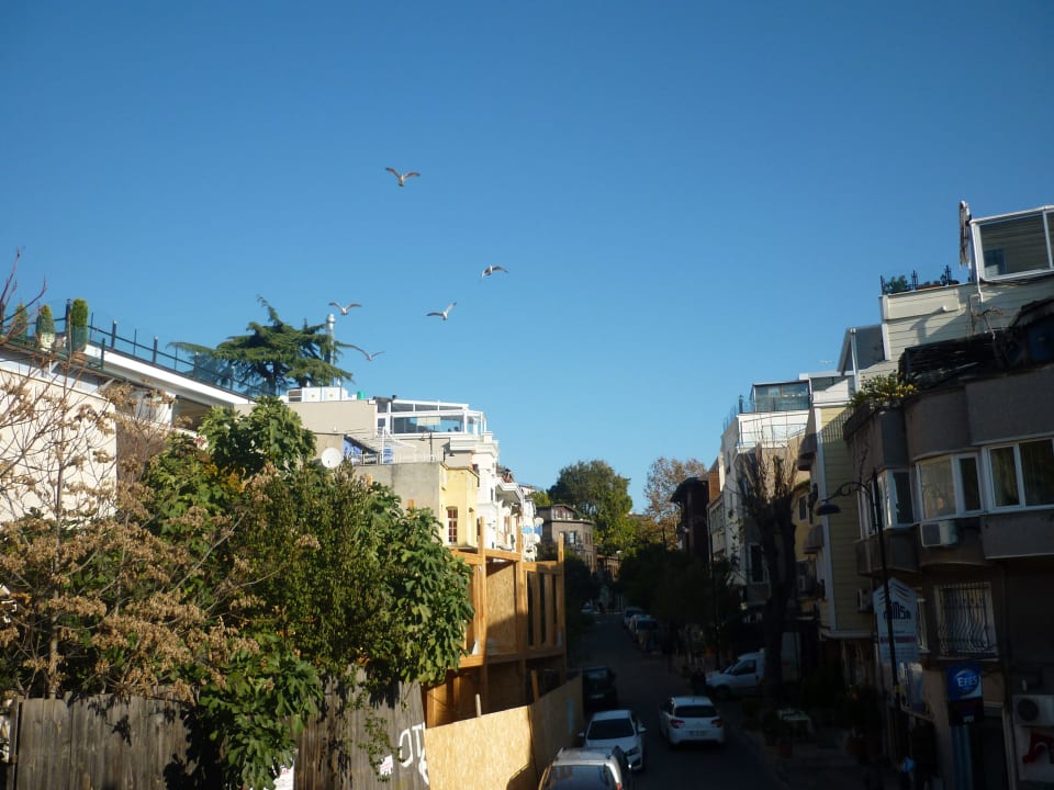 Blick vom Zimmer Hotel Darussaade Istanbul