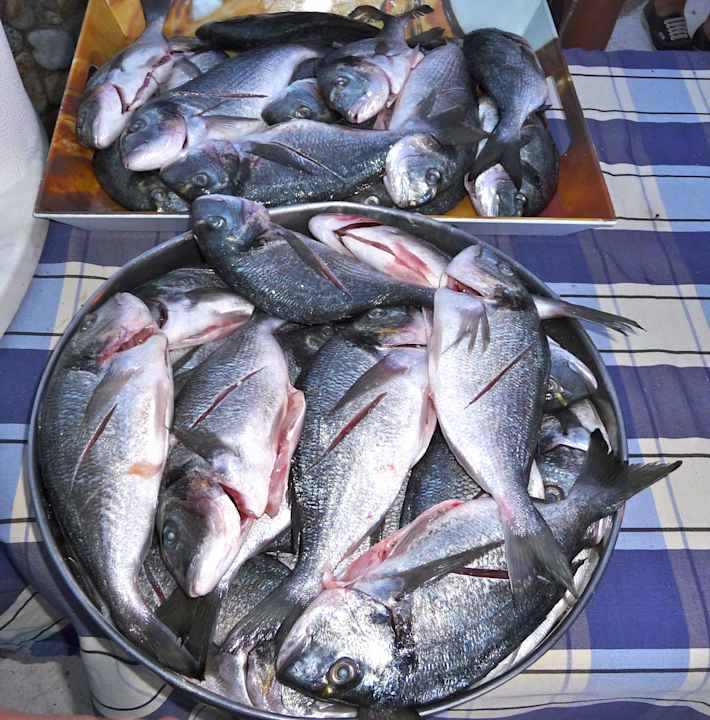 Hotel Apollon - Griechische Abende Hotel Apollon