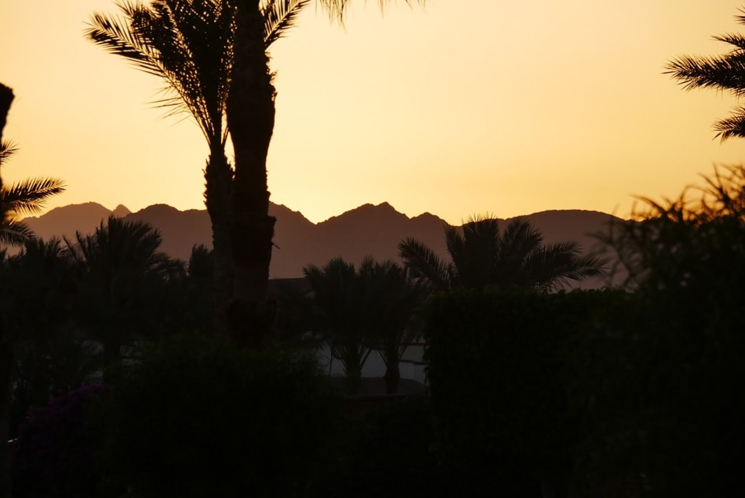 Ausblick Pickalbatros Royal Moderna Resort-Sharm El Sheikh