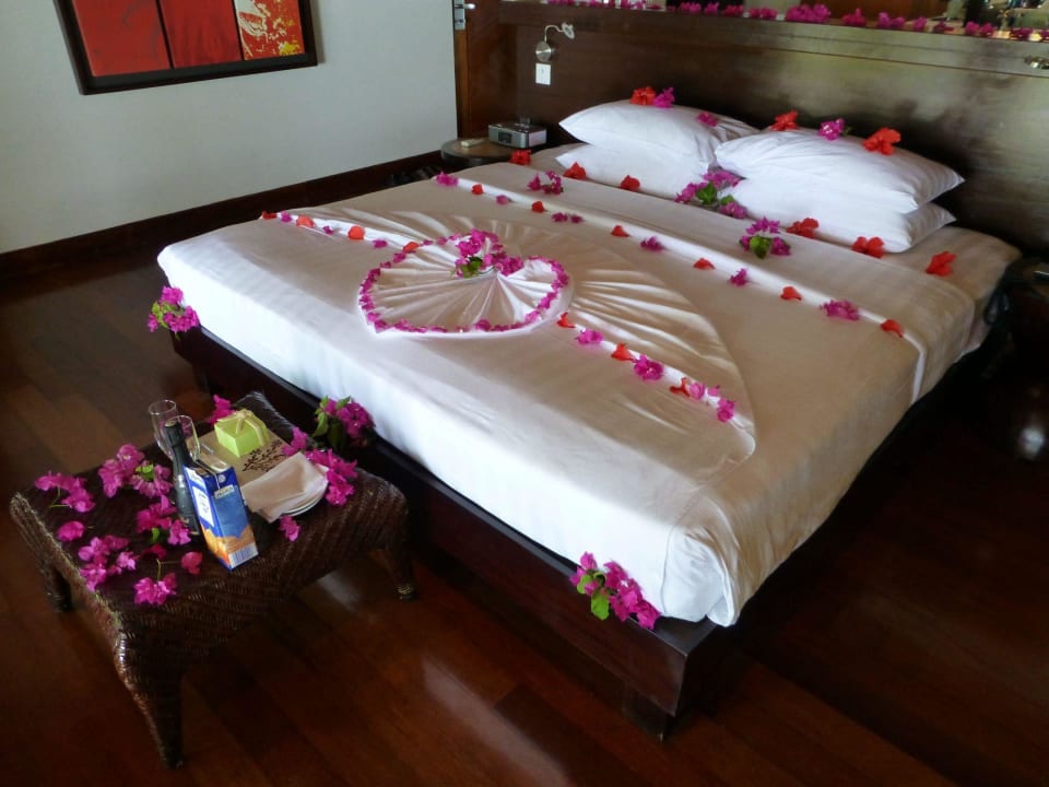 Unerwartete Geburtstagsgrüsse LUX South Ari Atoll