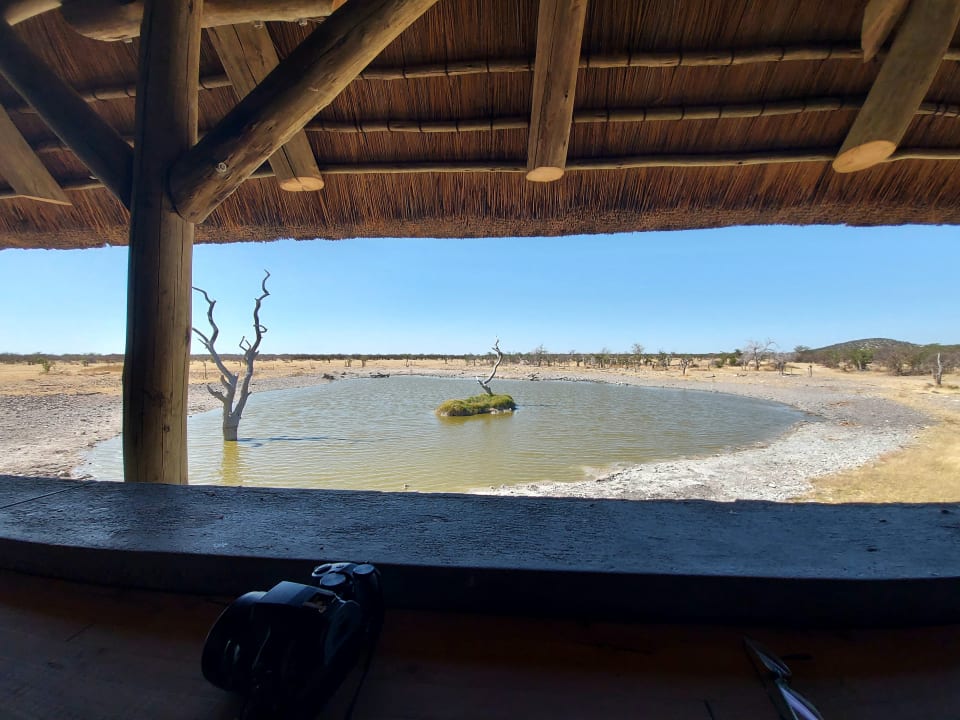 Gartenanlage Safarihoek Lodge