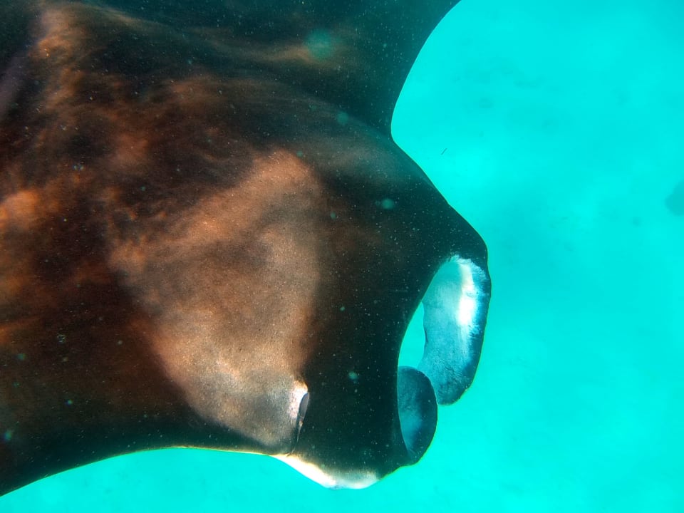 Sport & Freizeit Boutique Beach All Inclusive Diving Hotel