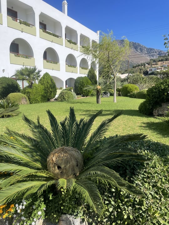 Außenansicht Alianthos Garden Hotel