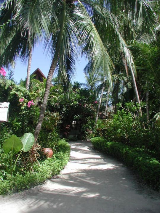 Weggestaltung Kuramathi Maldives