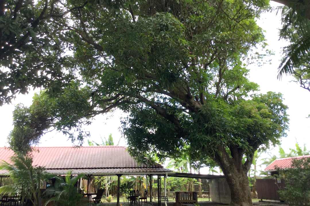 Gartenanlage Le Jardin de Beau Vallon