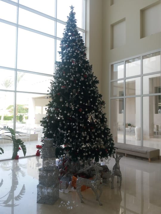 Sehr schöner Weihnachtsbaum in der Lobby Jaz Aquaviva