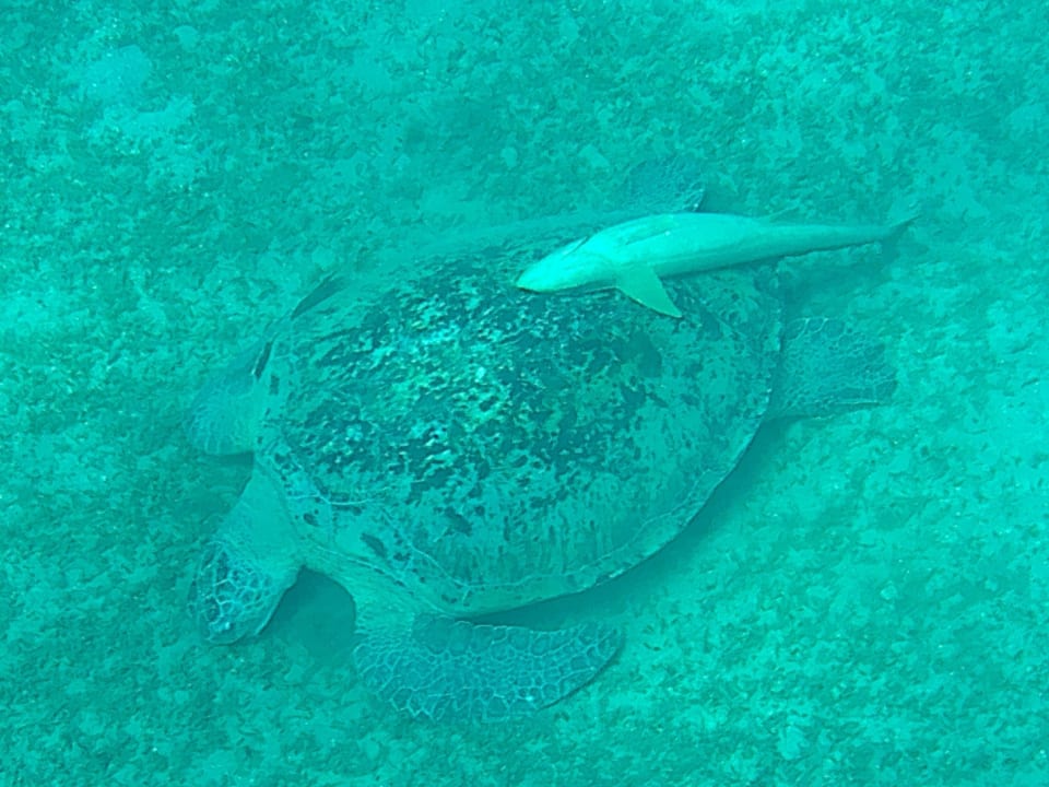 Strand Casa Mare Resort