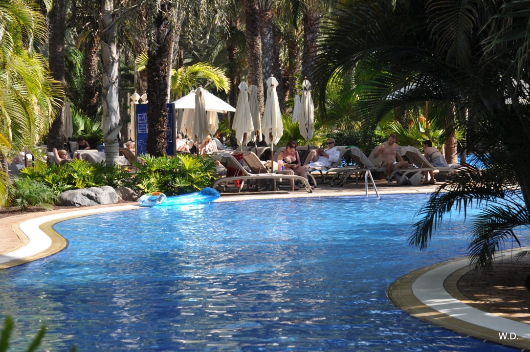 Widok z basenu na ogród Lopesan Costa Meloneras, Resort & Spa