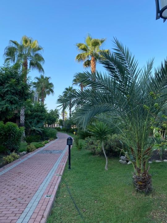 Gartenanlage Seaden Sea World Resort & Spa